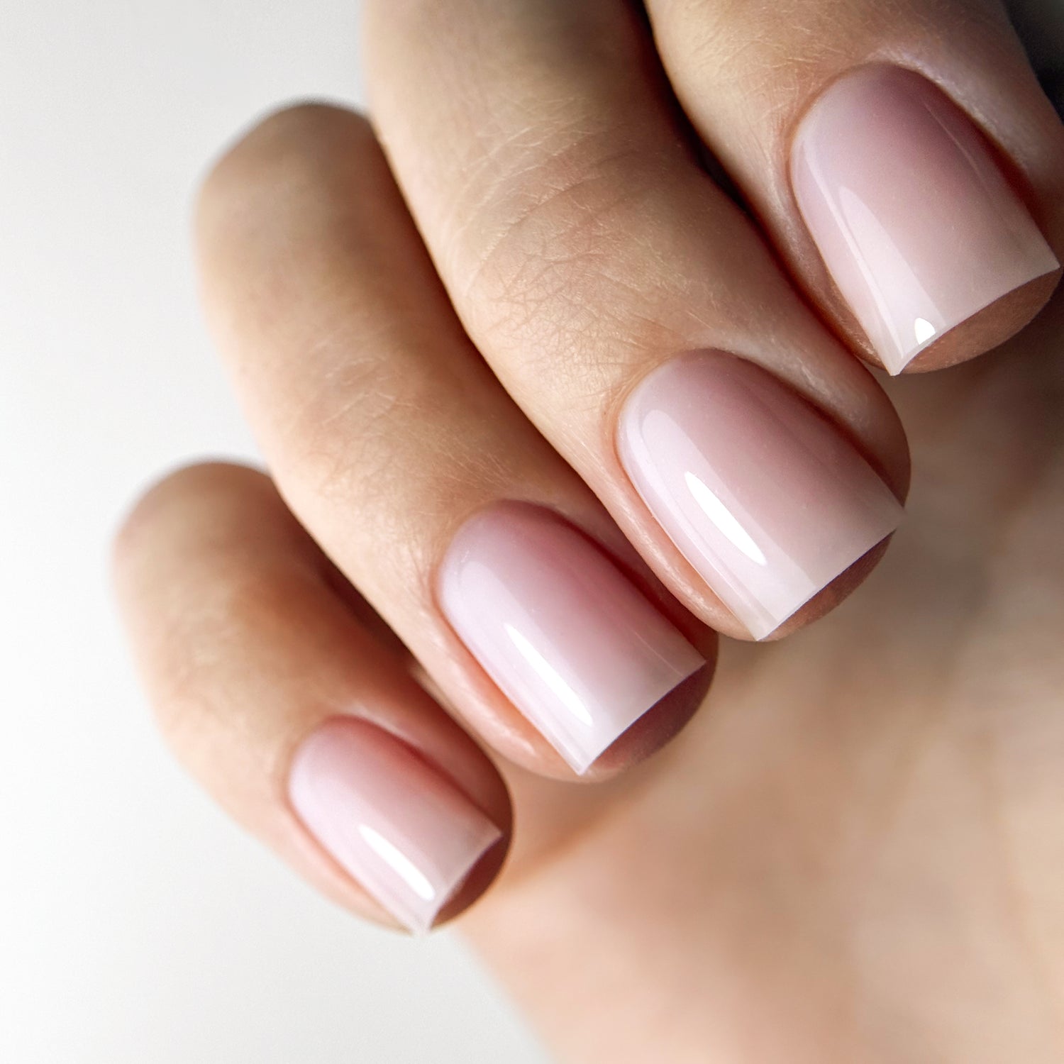 BASE COAT COLLECTION, FIBER 2