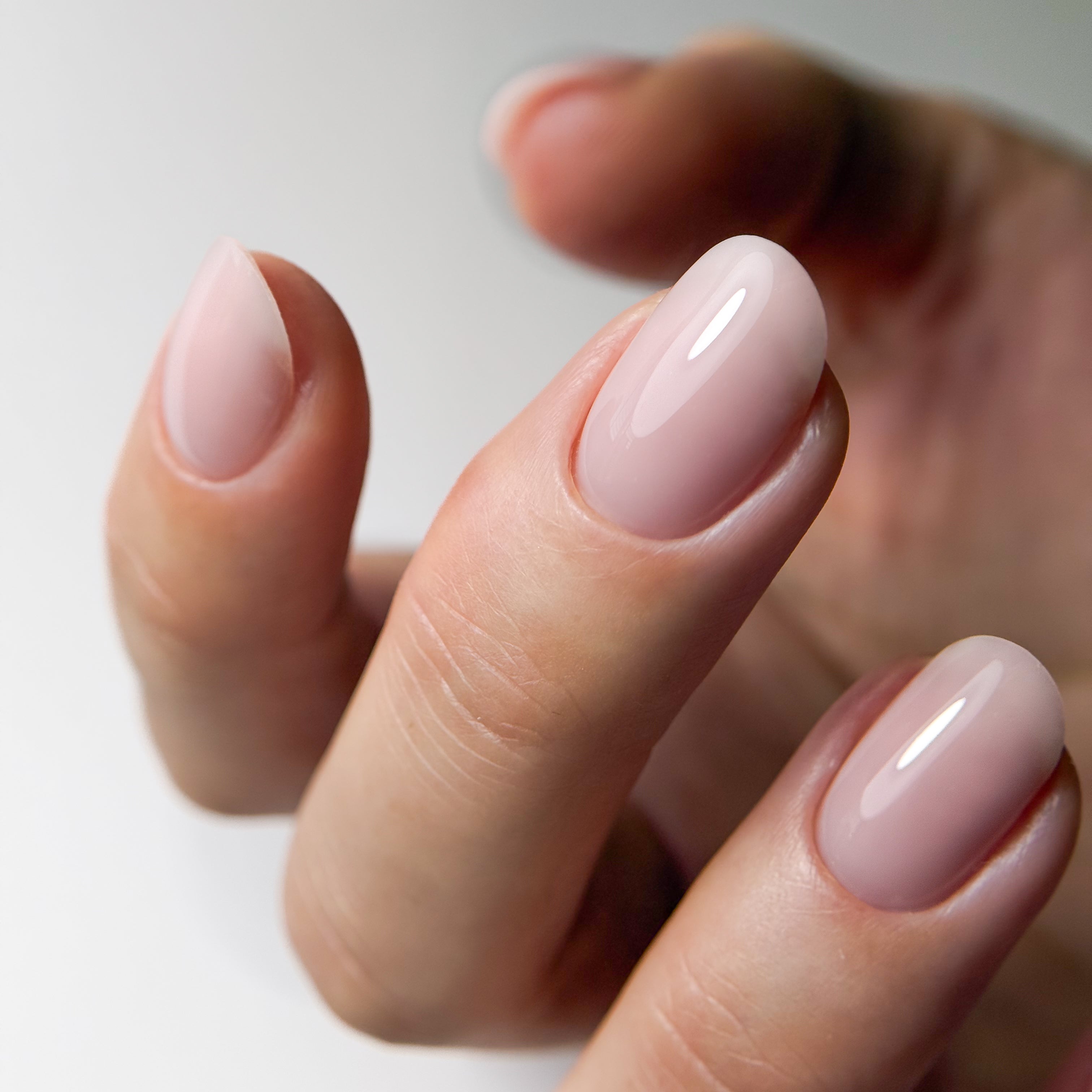 BASE COAT COLLECTION, FIBER 1