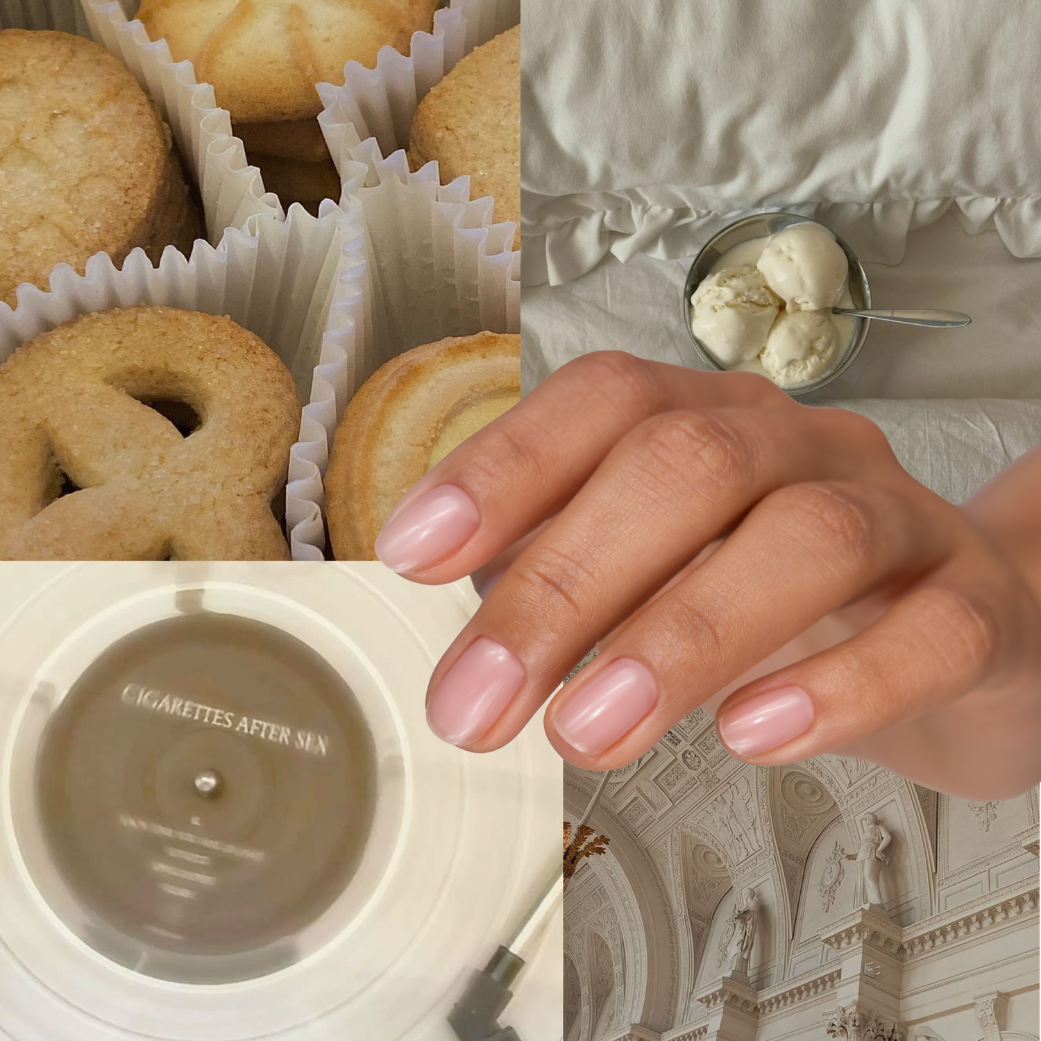 GUMMY BASE, BISCUIT