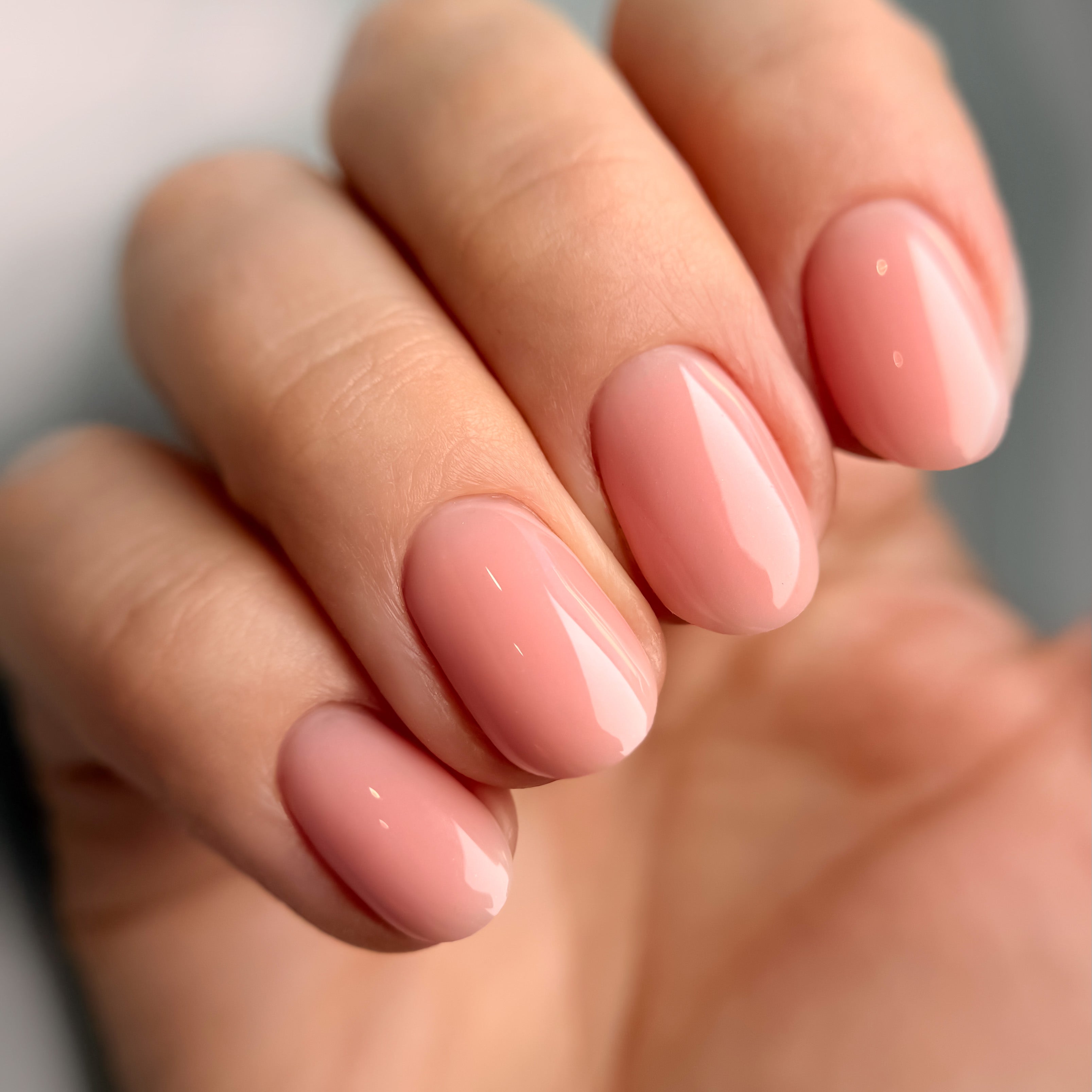 BASE COAT COLLECTION, FIBER 1