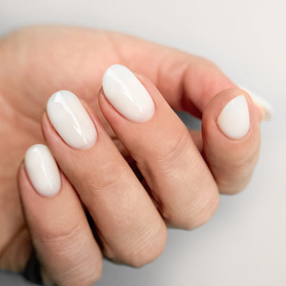 BASE COAT COLLECTION, FIBER 2