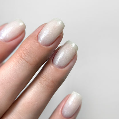 BASE COAT COLLECTION, FIBER 1